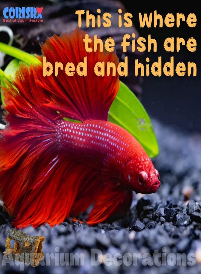 CORISRX Aquarium Hide Log Betta Fish Tank accessorie Decoration - Resin Artificial Tree Trunk Ornament for Fish Tank Betta Hideout Cave Decor - Small Tree Log with Hollow for Aquarium Accessories - Image 4